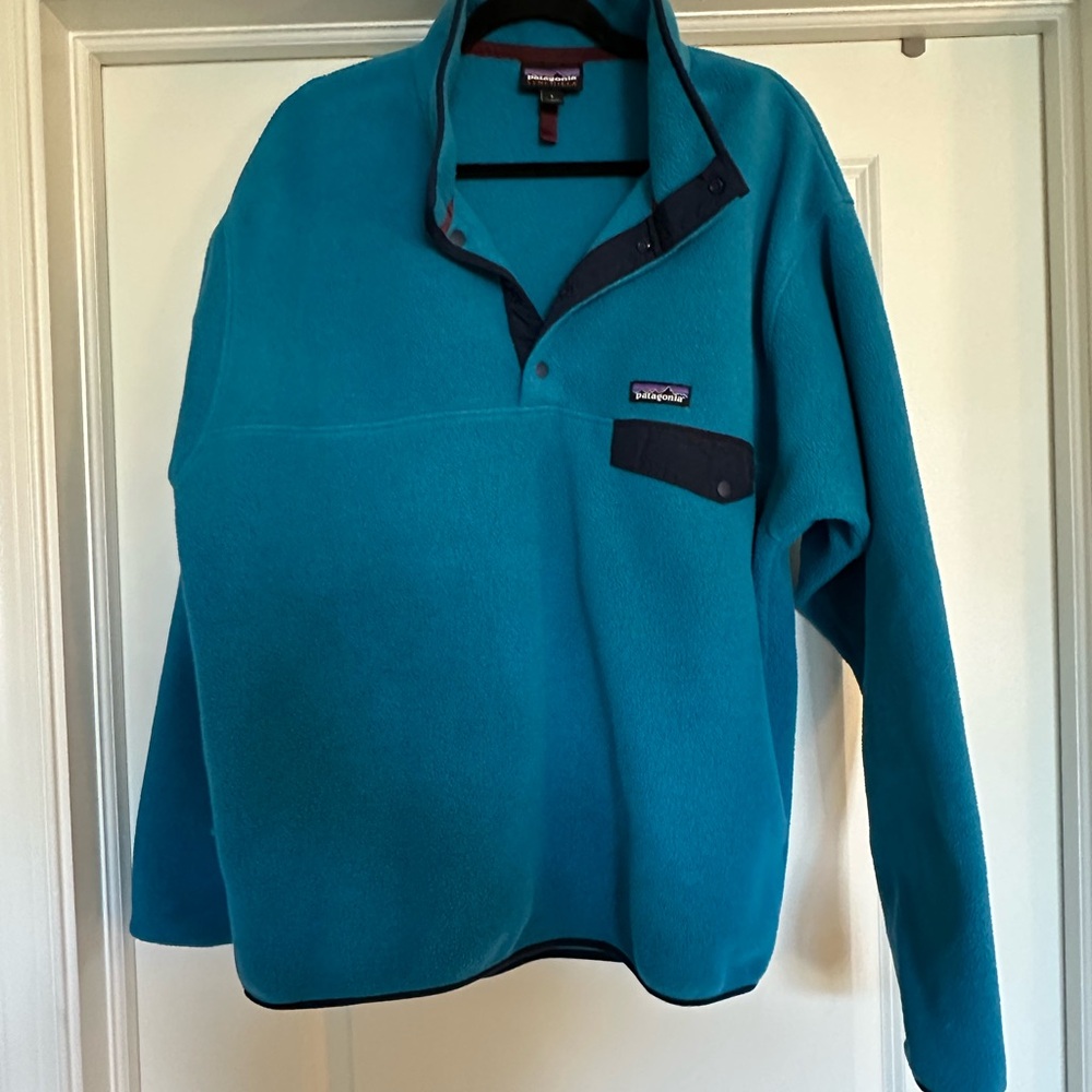 Patagonia Men’s Blue Synchilla Fleece